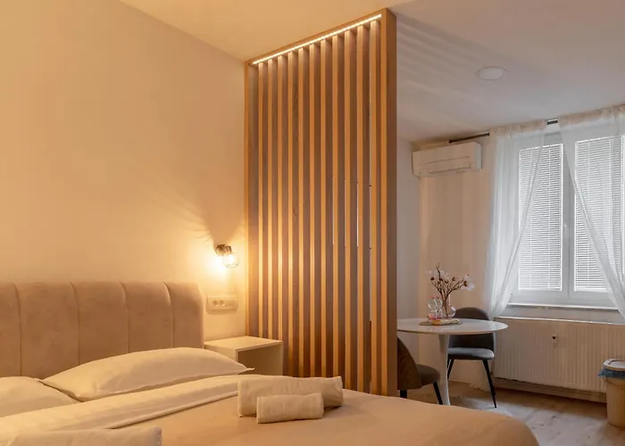 Classy & Cozy 2 Daire Ljubljana